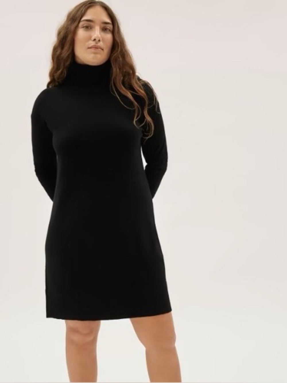 Everlane Cashmere Black Turtleneck Sweater Dress